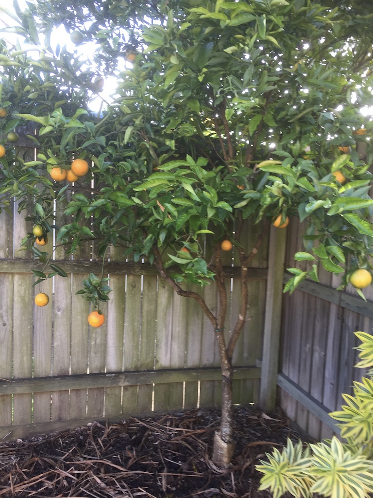 UNADJUSTEDNONRAW_thumb_a8c