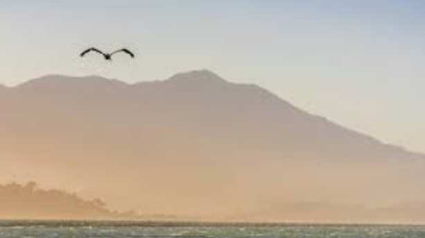 Screen Shot 2018-07-01 at 20.02.08