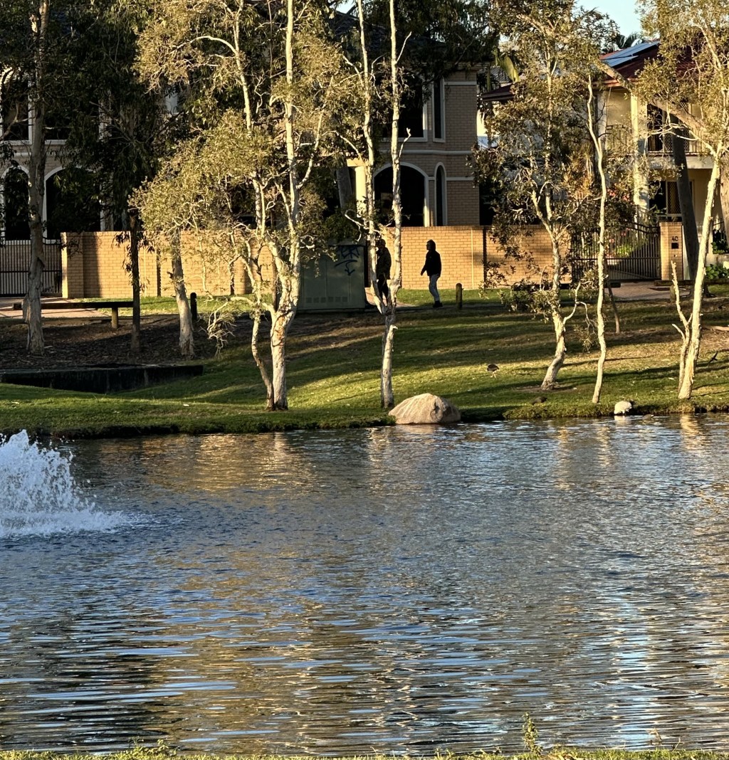 Reflections
